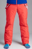 Теплые мужские зимние брюки Nordski Premium Red 2020