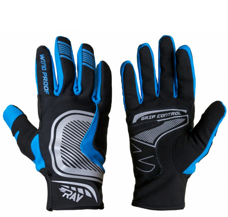 Лыжные перчатки Ray Про синий